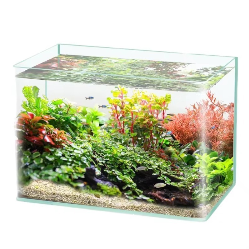 Box Fish In Aquarium - ボックス梱包デスクトップ水槽ウルトラホワイトクリア曲面ガラス生態系5:1海水魚水槽