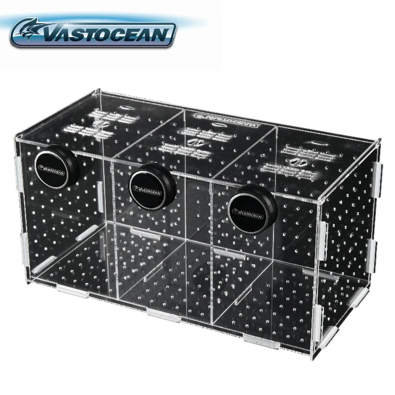 Box Fish In Aquarium - Vastocean-磁気コンビネーションアクリル水槽隔離ボックス,水族館用品