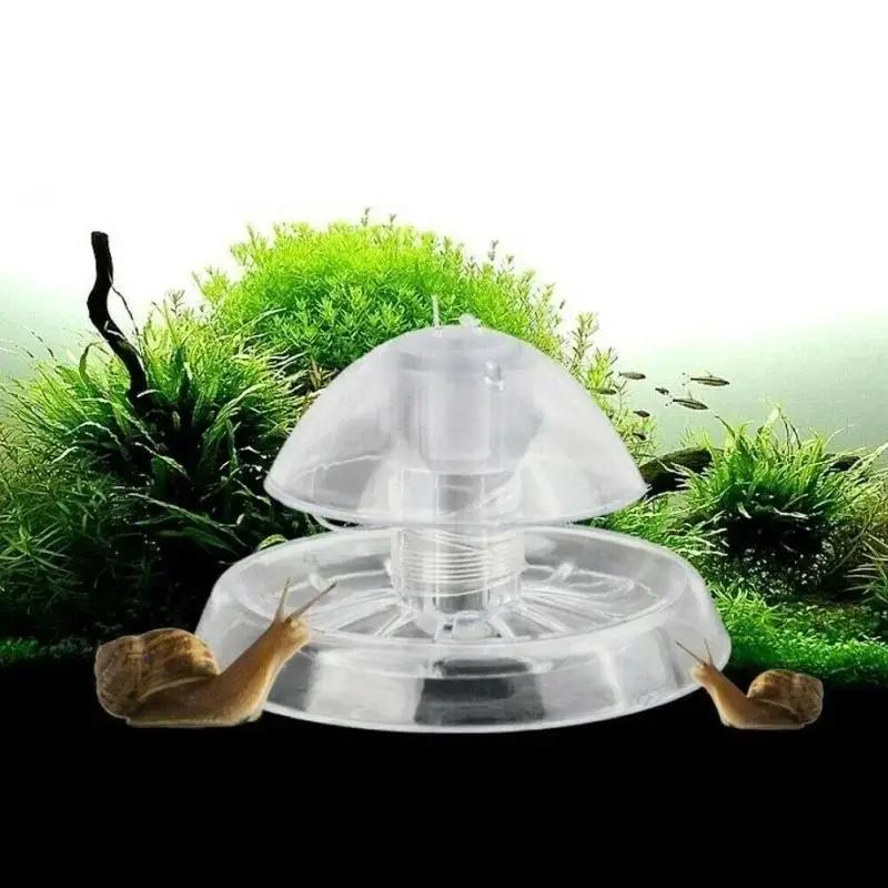 Box Fish In Aquarium - 2026年新発売 6/8CM 透明プラスチック製カタツムリ捕獲器 水槽害虫駆除ボックス 魚タンク 水草タンク清掃除去ツール用品