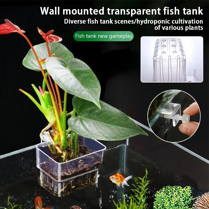 Aquarium Fish Background - 水槽吊り下げプランターカップ 壁掛け水生植物ホルダー 水槽プランターバスケット 魚タンク植物ポット 魚タンク ペセドラ