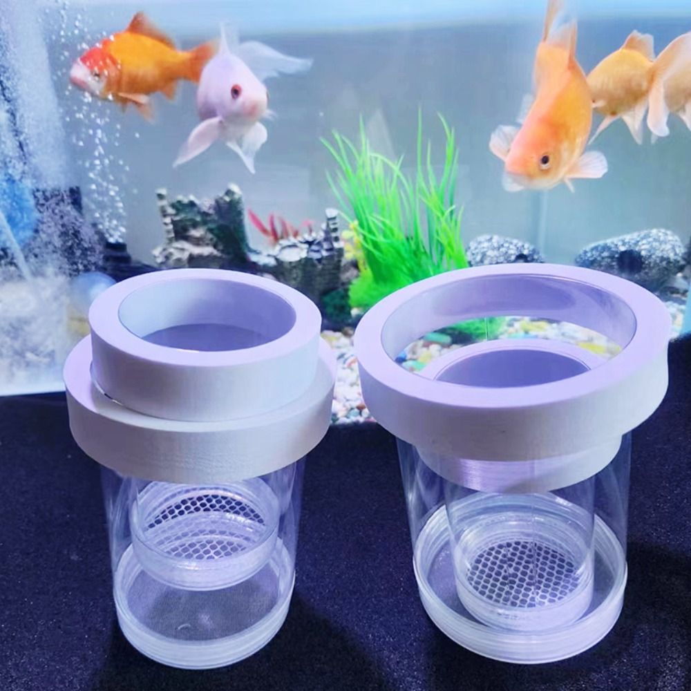 Box Fish In Aquarium - プラスチックフローティング魚飼育隔離ボックス水族館ブリーダーフィーダー孵化インキュベーター水族館孵化場アクセサリー