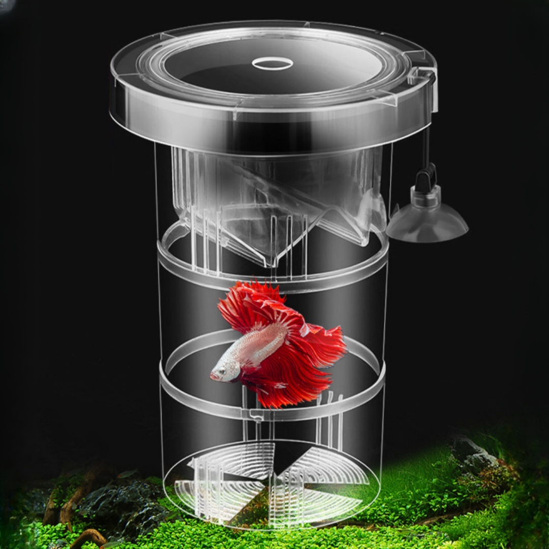 Box Fish In Aquarium - アクリル製浮遊魚繁殖隔離ボックス水槽飼育者フィーダー水槽孵化インキュベーター水槽孵化場アクセサリー