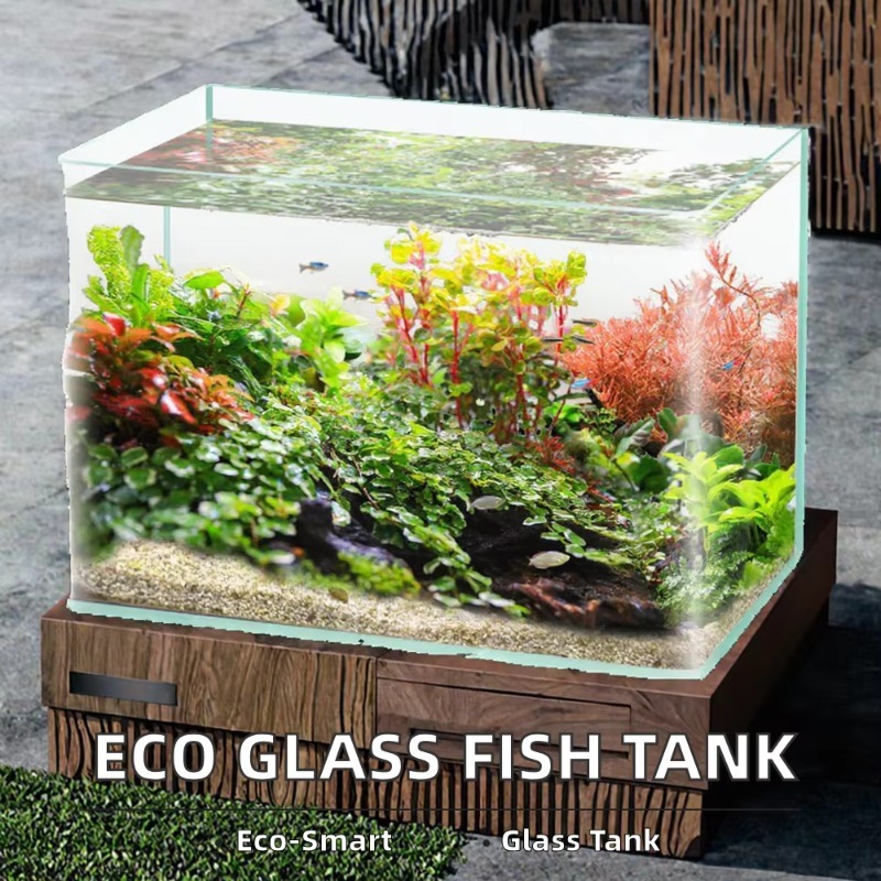ボックス梱包デスクトップ水槽ウルトラホワイトクリア曲面ガラス - Box Fish In Aquarium のレビューと価格
