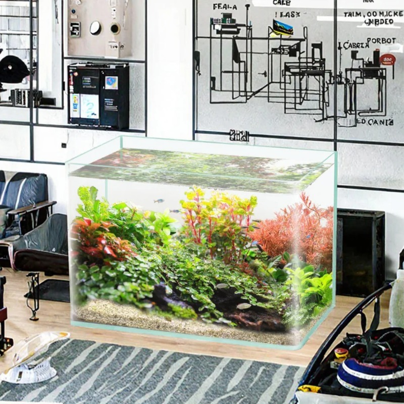 ボックス梱包デスクトップ水槽ウルトラホワイトクリア曲面ガラス - Box Fish In Aquarium のレビューと価格