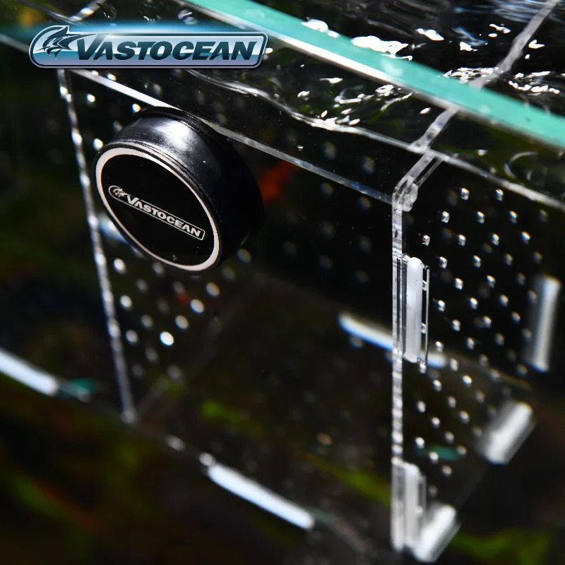 Vastocean-磁気コンビネーションアクリル水槽隔離ボッ - Box Fish In Aquarium のレビューと価格