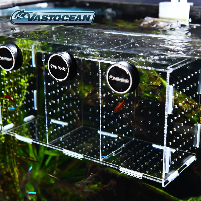 Vastocean-磁気コンビネーションアクリル水槽隔離ボッ - Box Fish In Aquarium のレビューと価格