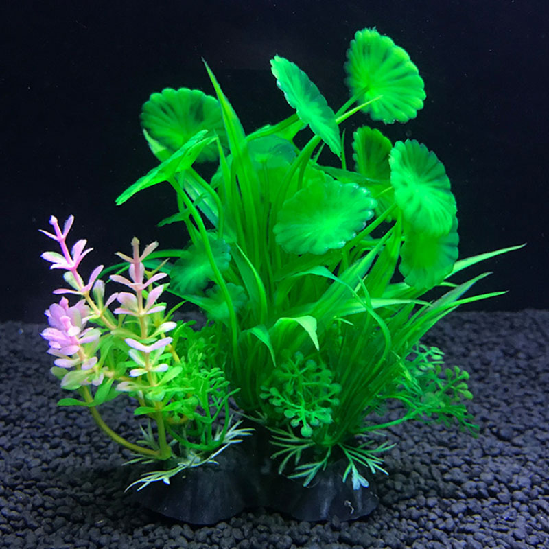 水族館の装飾、さまざまな模擬植物、水生植物、水生植物、水族館 - Aquarium Fish Variety のレビューと価格