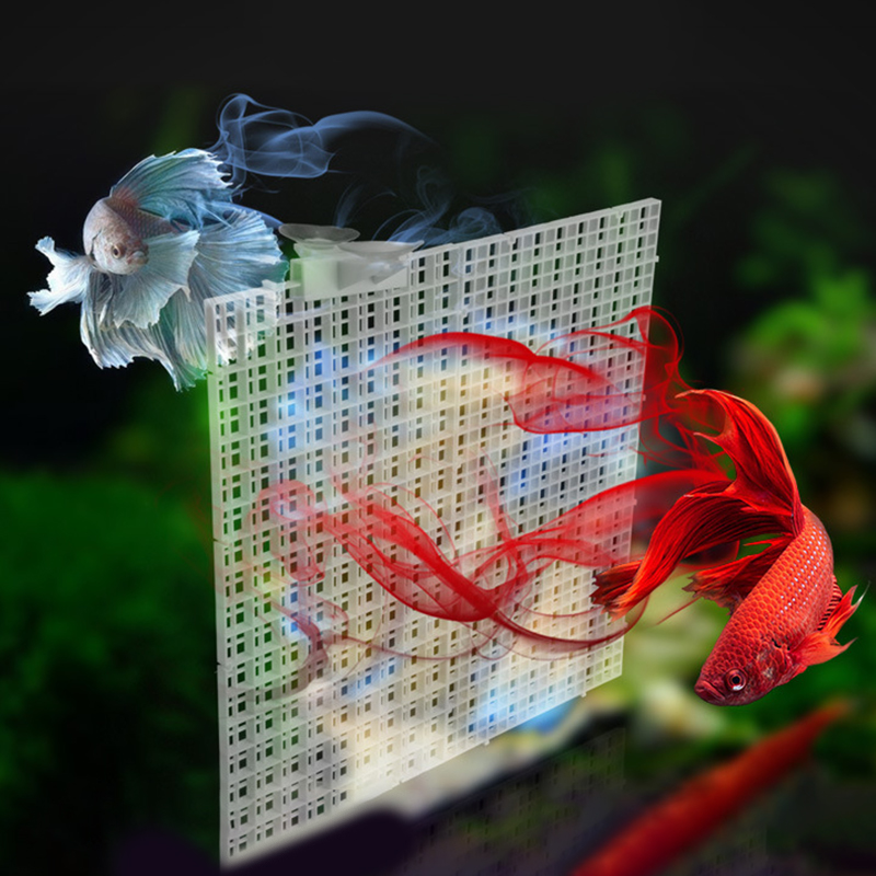 水槽分離用グリッド仕切りプレート,取り外し可能,接続可能,上 - Aquarium Fish Net のレビューと価格
