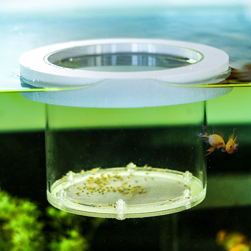 中断された水槽の分離ボックス透明なアクリルインキュベーター多 - Box Fish In Aquarium のレビューと価格