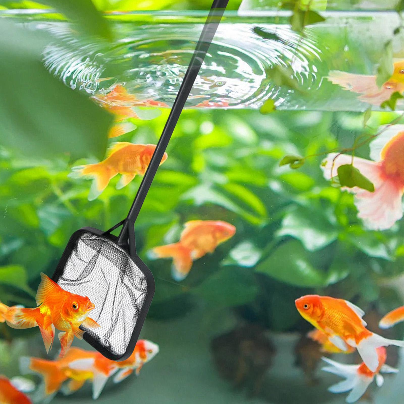 プールネット 清掃用 ポータブルプールストレーナーネット 噴 - Aquarium Fish Net のレビューと価格