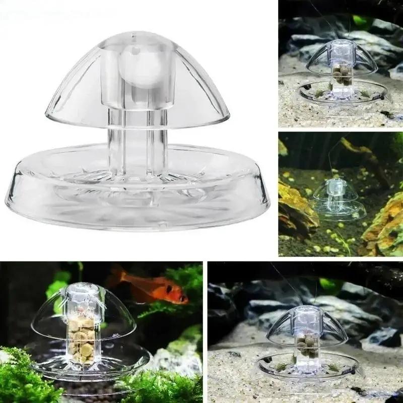 2026年新発売 6/8CM 透明プラスチック製カタツムリ捕 - Box Fish In Aquarium のレビューと価格