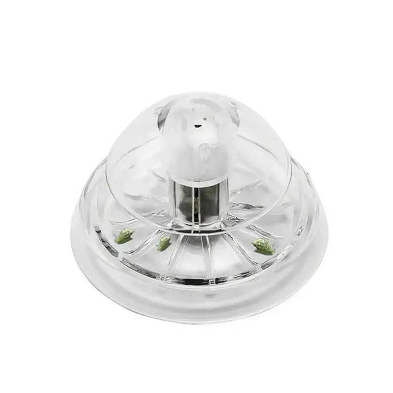 2026年新発売 6/8CM 透明プラスチック製カタツムリ捕 - Box Fish In Aquarium のレビューと価格