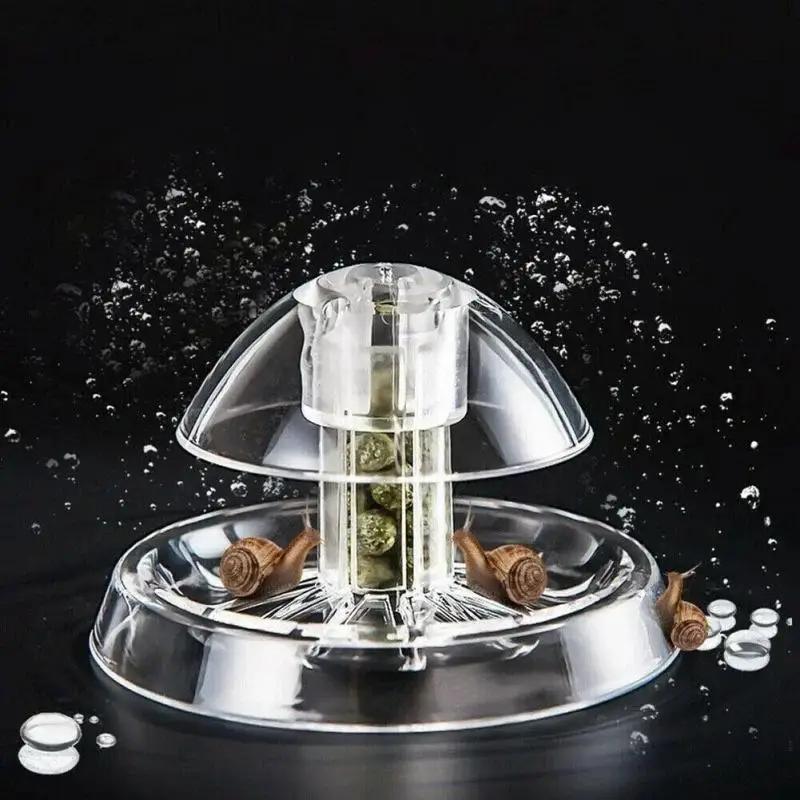 2026年新発売 6/8CM 透明プラスチック製カタツムリ捕 - Box Fish In Aquarium のレビューと価格