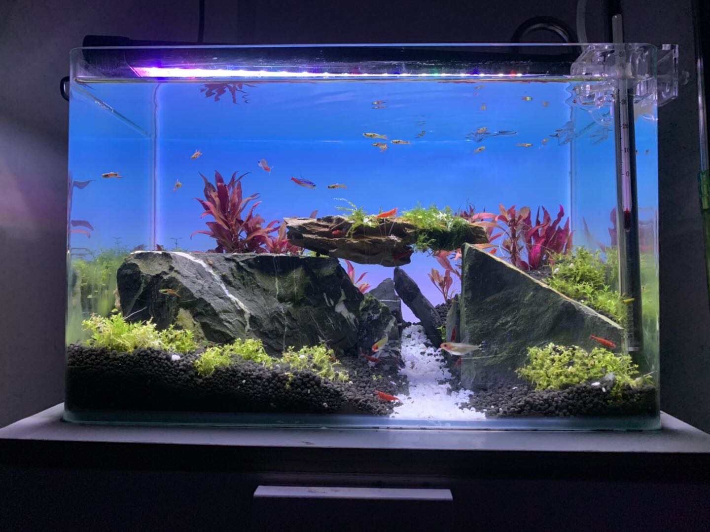 RGBカラーチェンジ水槽ライト、カスタマイズ可能なボーダーレ - Aquarium Fish Background のレビューと価格