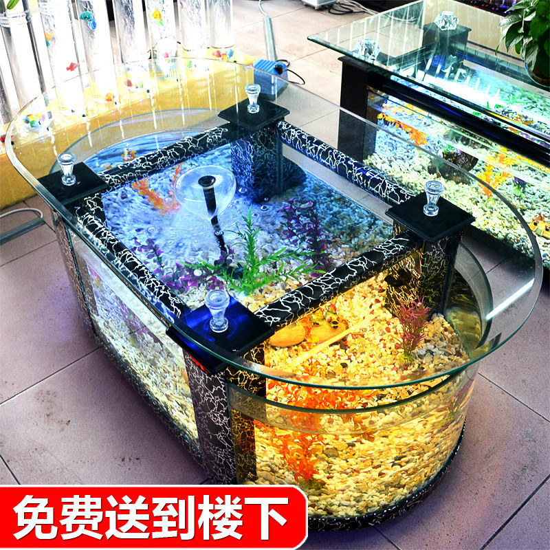 大型エココーヒーテーブル水槽 リビングルーム水槽 ガラス製  - Aquarium Xxl のレビューと価格