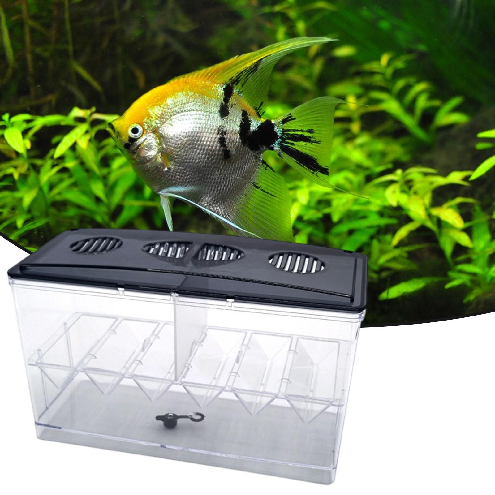 フローティングフィッシュ繁殖隔離ボックス取り外し可能透明お手 - Box Fish In Aquarium のレビューと価格