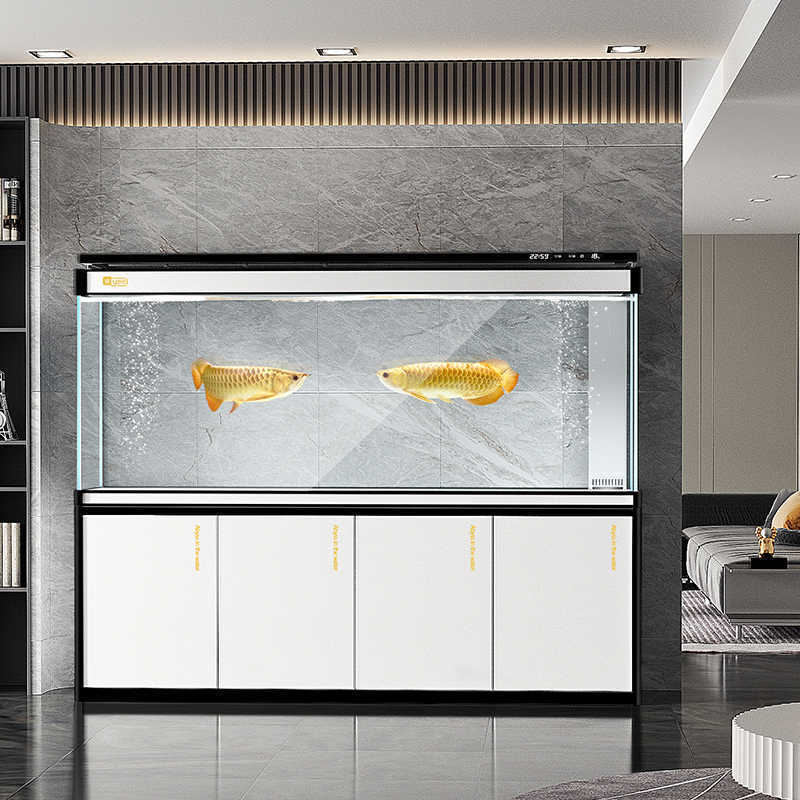 水槽リビング大型アロワナ水槽超白ガラス水槽底面フィルター生態 - Aquarium Xxl のレビューと価格