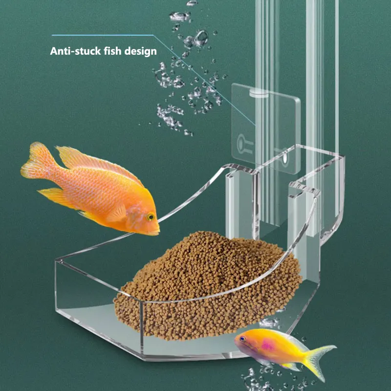 水族館用の透明なアクリルフィーダー,滑り止めチューブ,さまざ - Aquarium Fish Variety のレビューと価格