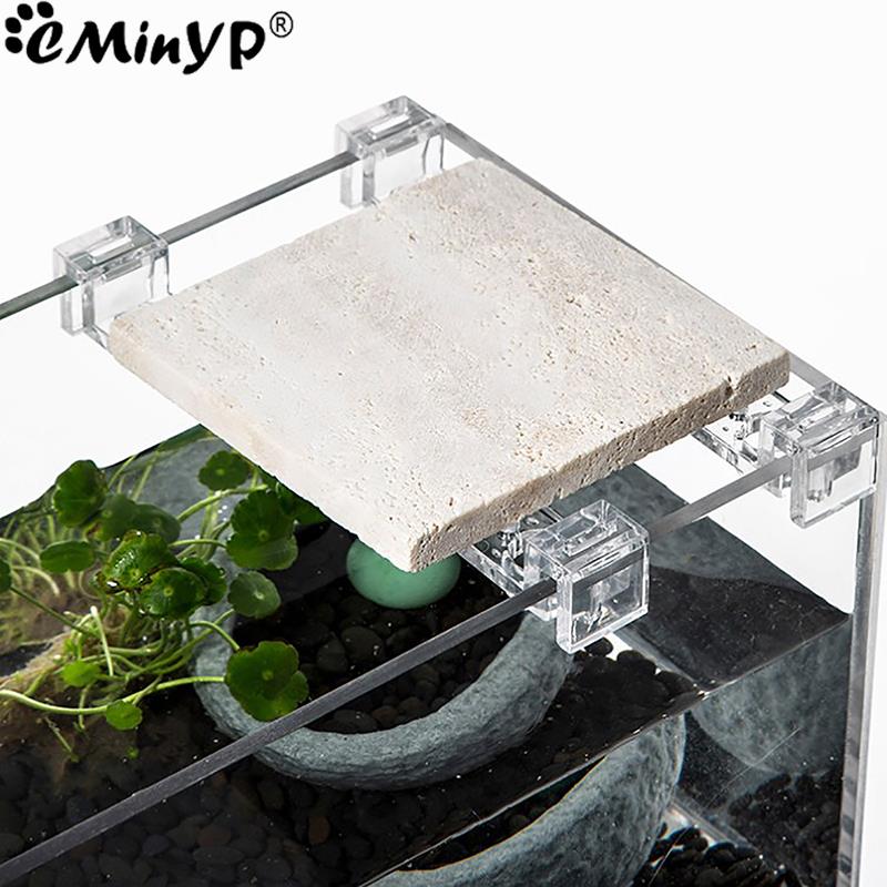 4 個の水槽アクリルクリップ 5.5 ミリメートル〜 15  - Aquarium Fish Background のレビューと価格
