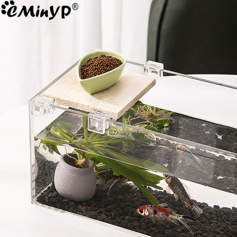 4 個の水槽アクリルクリップ 5.5 ミリメートル〜 15  - Aquarium Fish Background のレビューと価格