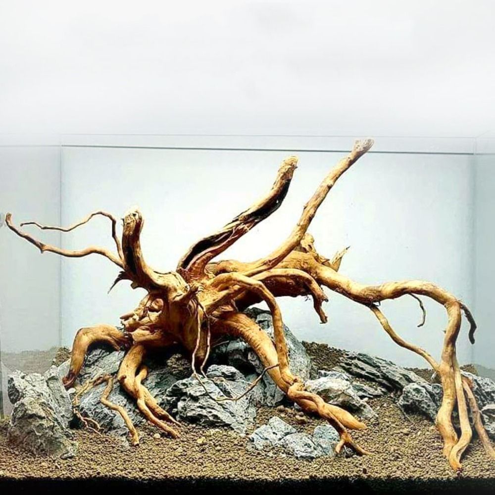 20-25CM大型水槽流木天然魚タンク植物装飾ツリーフィッシ - Aquarium Xxl のレビューと価格