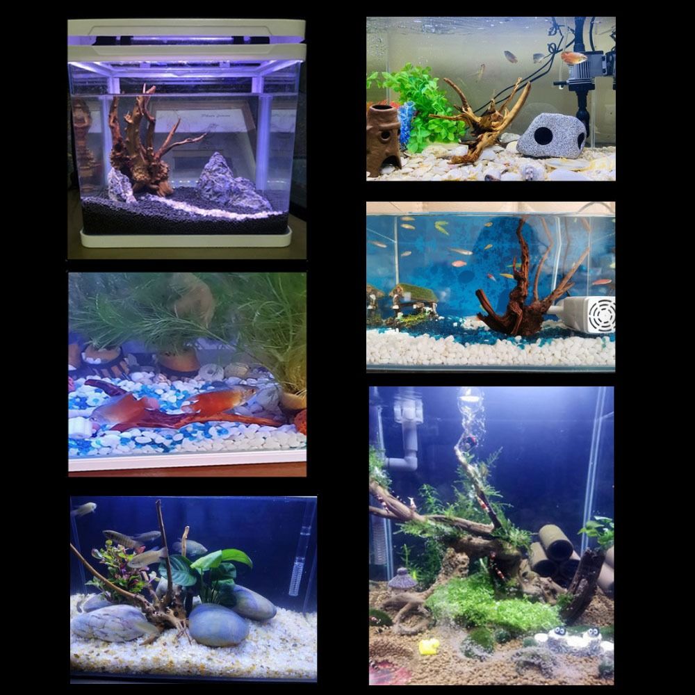 20-25CM大型水槽流木天然魚タンク植物装飾ツリーフィッシ - Aquarium Xxl のレビューと価格