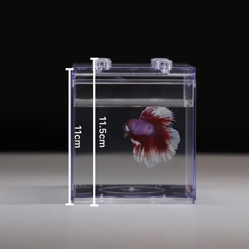 リラックスラインズ ミニ水槽ボックス テーブルデコレーション - Box Fish In Aquarium のレビューと価格