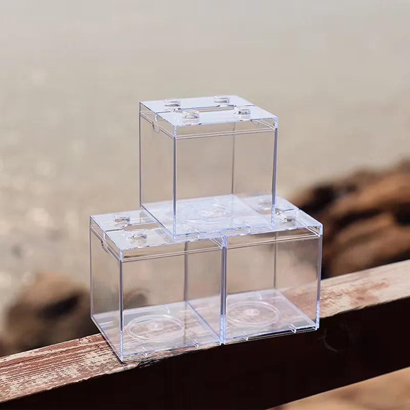 リラックスラインズ ミニ水槽ボックス テーブルデコレーション - Box Fish In Aquarium のレビューと価格