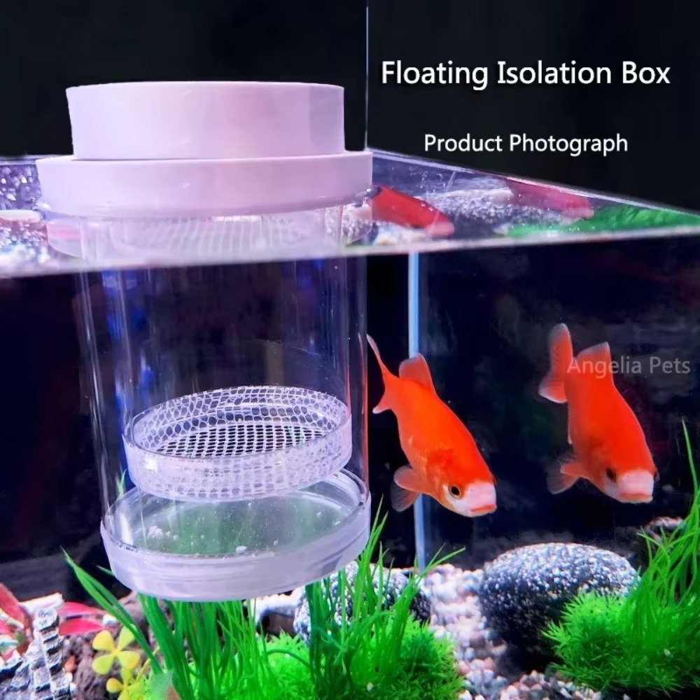 プラスチックフローティング魚飼育隔離ボックス水族館ブリーダー - Box Fish In Aquarium のレビューと価格