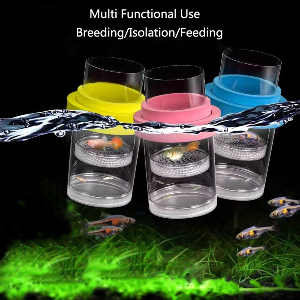 プラスチックフローティング魚飼育隔離ボックス水族館ブリーダー - Box Fish In Aquarium のレビューと価格