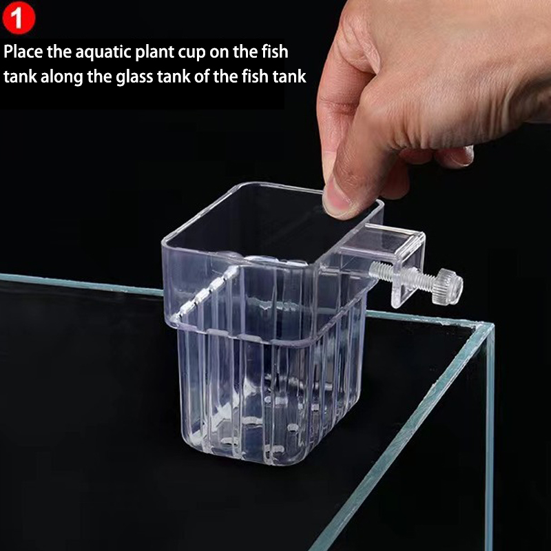 多機能フィッシュ水族館、水草植栽カップ、魚の分離ボックス、水 - Box Fish In Aquarium のレビューと価格