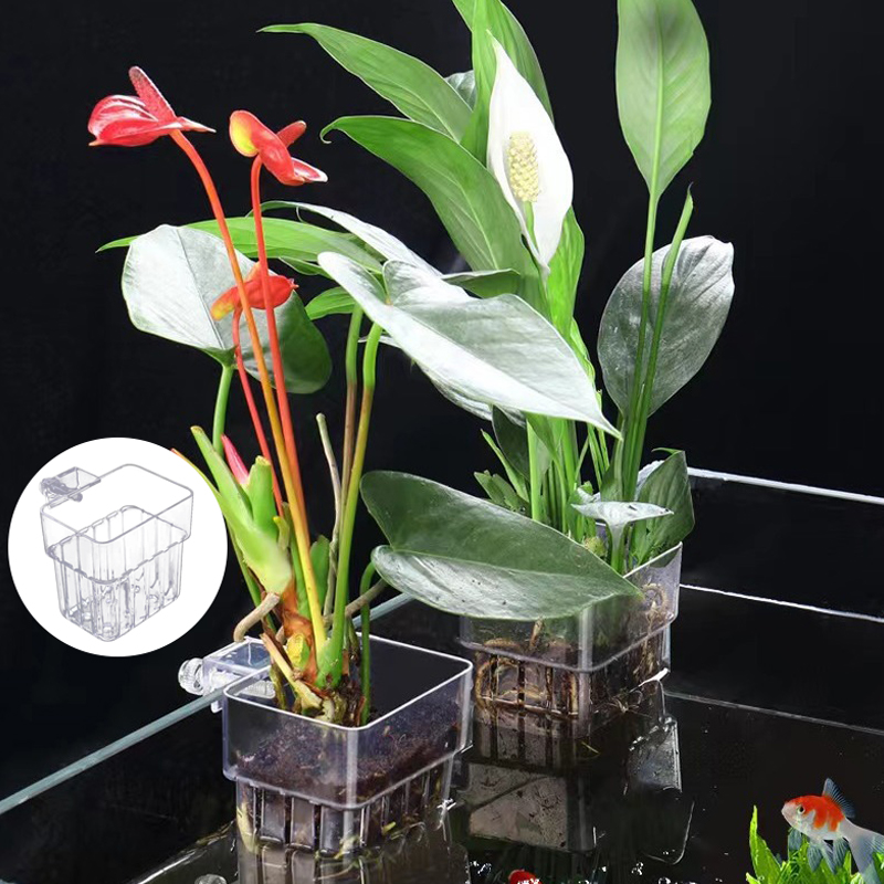 多機能フィッシュ水族館、水草植栽カップ、魚の分離ボックス、水 - Box Fish In Aquarium のレビューと価格