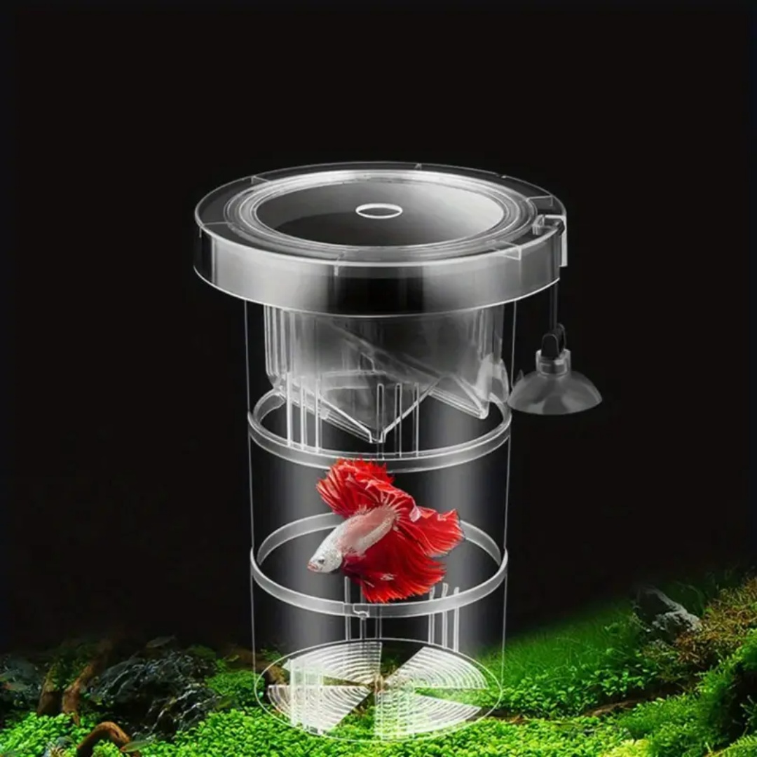 アクリル製浮遊魚繁殖隔離ボックス水槽飼育者フィーダー水槽孵化 - Box Fish In Aquarium のレビューと価格