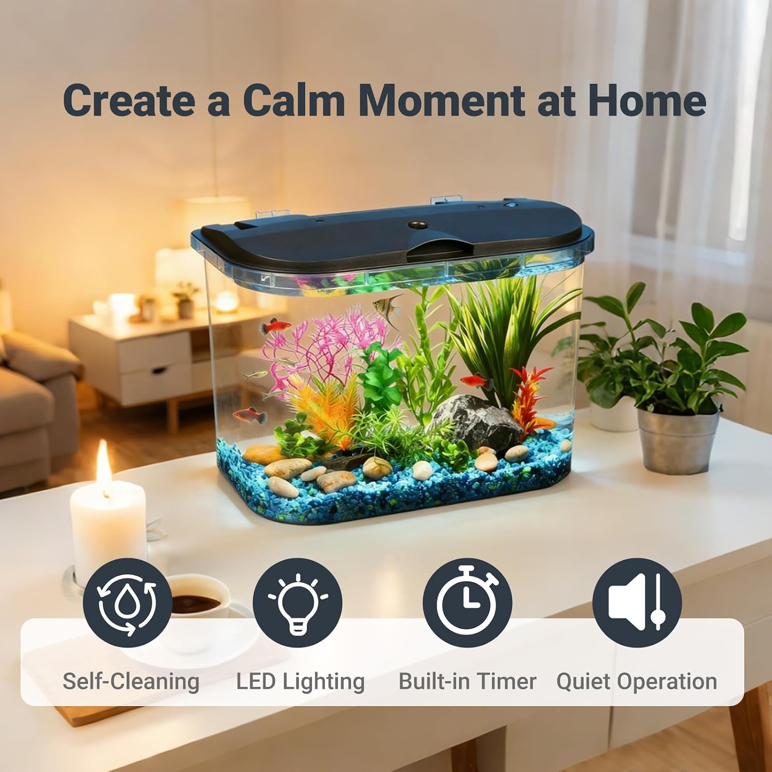 5ガロン水槽キット（LED照明とパワーフィルター付き）、様々 - Aquarium Fish Variety のレビューと価格