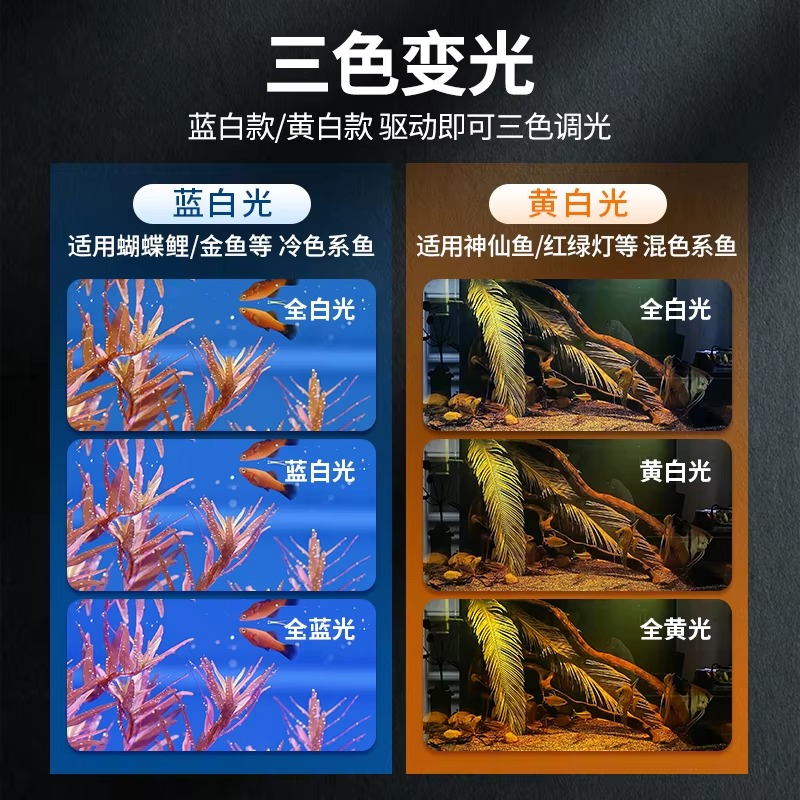 モダンな水槽ライトボックス、水槽水草用、3色16W COBフ - Box Fish In Aquarium のレビューと価格