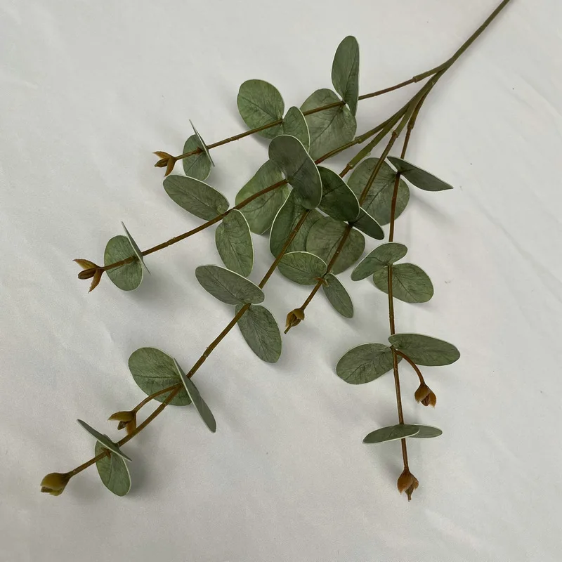 5 個の偽の緑の植物 3D 印刷ユーカリの葉ホームマネーデコ - Background Film 3D のレビューと価格
